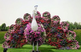 Невероятный сад в Дубае