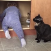 Кот "расправился" с надоевшим ребенком (видео)