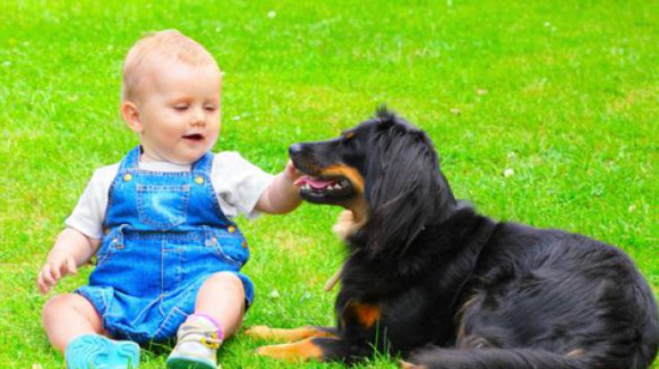 Дети и собаки больше других подвержены укусу клещей. Фото sunny7.ua