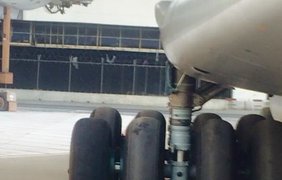 Шкиряк прилег отдохнуть на территории аэропорта в Баку. Фото Оксаны Котовой