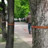 В Николаеве деревья обвязали георгиевскими лентами
