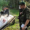 Украинец вез в Россию полтонны мясной контрабанды на телеге (фото)
