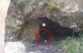 Фотография призрака в пещере на территории кладбища