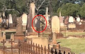 Снимок был запечатлен в мае 2012 года. Очевидец утверждает, что на фото призрак парит рядом с могилой.
