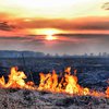 Воздух Киева отравлен формальдегидом из-за пожаров