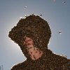 Американец чудом выжил после укусов тысячи пчел