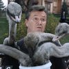 Страусы Януковича: соцсети накрыла волна фотожаб 