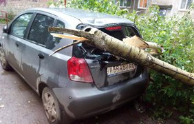 В Пермском крае пронесся ураган. vk.com / Типичная Пермь