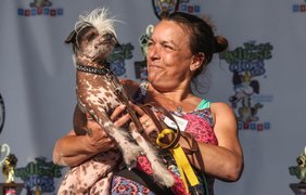 Хозяйка со своим псом, принимающим участие в Конкурсе на самую уродливую собаку