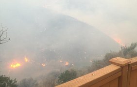 Пожар в штате Вашингтон. Фото: twitter/mashable 