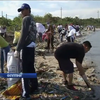 Філіппінці розчистили узбережжя від тонн сміття