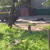 В Харькове убили троих инкассаторов, украдено более 2 млн грн (фото, исправлено)