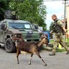 США резко осудили бойню в Мукачево