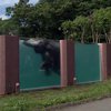 В Японии слоны плавают в стеклянных бассейнах (видео)