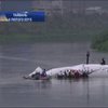 Пілот у Тайвані убив 43 людини вимкнувши двигун