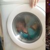 Мать фотографировала сына с синдромом Дауна в стиральной машинке