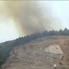 Албанія потерпає від лісових пожеж (відео)