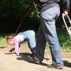 В Екатеринбурге бабушка выгуливала внучку на поводке (видео)