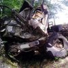 Авария грузовика на Закарпатье: за черникой в кузове на лавках (фото)
