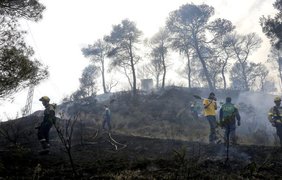 В Испании вспыхнули лесные пожары