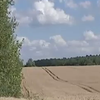 На Рівненщині землю для військових розікрали "попередники" (відео)