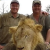 Турист із США вбив найвідомішого лева Зімбабве