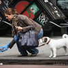 Принцесса Швеции убирает за собаками на улицах Нью-Йорка