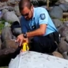 На острові Реюньон знайшли фрагмент зниклого літака Малайзії