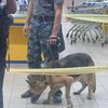 Убийца из супермаркета в Харькове не скрывал лица (фото)