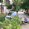 В Харькове упавшее дерево изувечило мать с младенцем (фото)