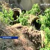 У Запоріжжі нечистоти з каналізації стікають у Дніпро