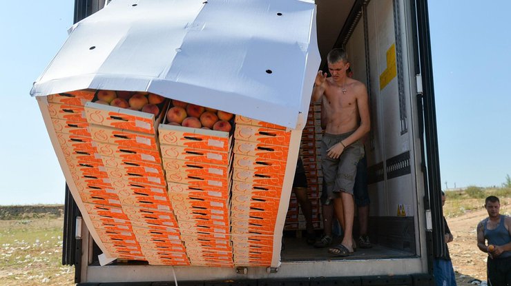 Россияне уничтожают санкционные персики