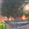 Лісова пожежа у Португалії наближається до будинків