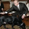 Собака Путина летала первым классом: реакция соцсетей