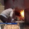 В Екатеринбурге сжигают в печах грецкие орехи