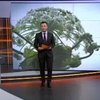 Пропагандисты запугивают Россию вторжением укропа-трансформера (видео)