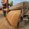 Курс рубля сорвал экспорт пшеницы из России