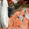 Россия запретила Казахстану и Беларуси покупать рыбу из Норвегии