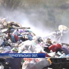 На Тернопільщині задихаються від смороду переповнених сміттєзвалищ