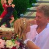 Торт на свадьбе Навки и Пескова возмутил россиян (фото)