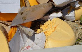 Уничтожение "запрещенного" сыра. Фото politolog.net