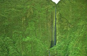 Водопад Хонокохау, Мауи утопает в зелени, и всюду здесь ощущается дух свободной дикой природы.Вконтакте/vkscience