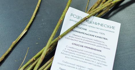 В России книжный магазин оштрафуют за розги для школьников | podrobnosti.ua