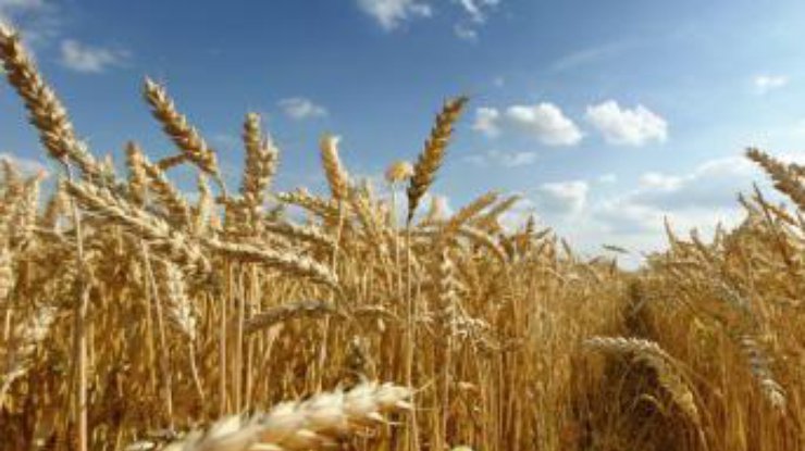 Экспорт агропродукции из Украины в Китай вырос в два раза
