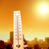 Человечеству угрожают два года рекордной жары