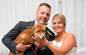 Молодожены устроили свадьбу с экзотическими животными