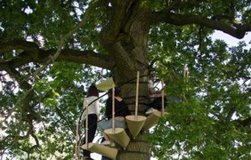 Переносная лестница, чтобы взбираться на любые деревья