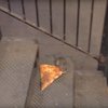 Голодная крыса пыталась утащить пиццу в метро (видео)
