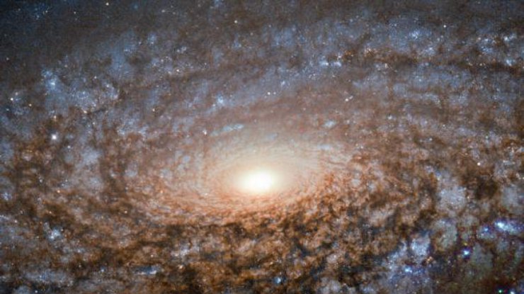 НАСА показало новый снимок пузырчатой галактики NGC 3521
