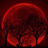 "Кровавая луна" над Украиной: где и когда наблюдать затмение
